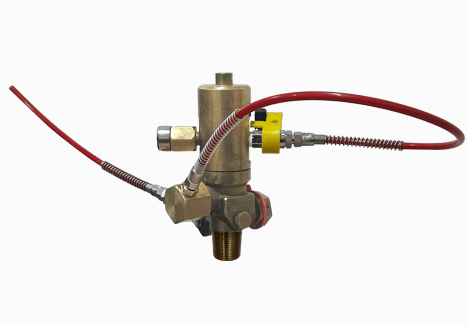 Discharge Valve